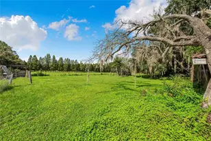 4430 1st St NW, Lakeland, FL 33810 - Photo 10