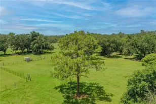 2335 Old Polk City Rd, Lakeland, FL 33809 - Photo 34