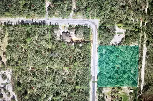 Deer Rd, Frostproof, FL 33843 - Photo 1