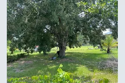 558 Maricopa Drive, Kissimmee, FL 34758 - Photo 6