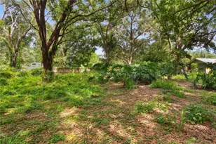 3703 Mt Tabor Rd, Lakeland, FL 33810 - Photo 4