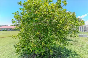 705 Glen Mar Ct, Sebring, FL 33876 - Photo 24