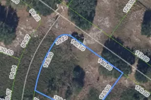 440 Foxhall Cir, Sebring, FL 33876 - Photo 1