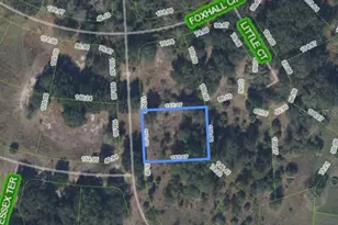 7017 Concord St, Sebring, FL 33876 - Photo 2