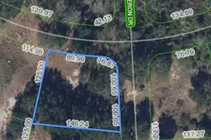 460 Foxhall Cir, Sebring, FL 33876 - Photo 2