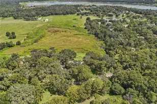 29235 Bayhead Rd, Dade City, FL 33523 - Photo 54