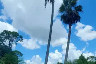 4428 Mendavia Dr, Sebring, FL 33872 - Photo 30