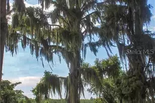 0 Jennings Fish Camp Rd, Lake Wales, FL 33898 - Photo 12