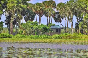 0 Jennings Fish Camp Rd, Lake Wales, FL 33898 - Photo 20