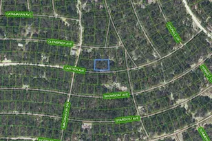 354 Cartier Ave, Lake Placid, FL 33852 - Photo 2