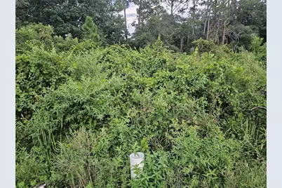 112 Draycott Avenue, Lake Placid, FL 33852 - Photo 1