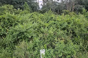 112 Draycott Ave, Lake Placid, FL 33852 - Photo 1