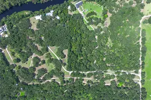 6613 NE Masters Ave, Arcadia, FL 34266 - Photo 50