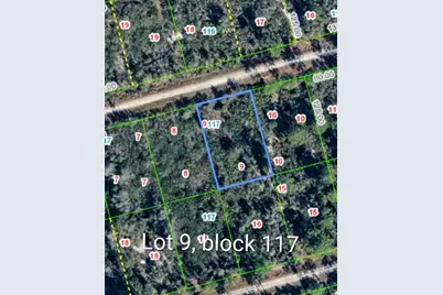 3108 Hollow Oak Avenue, Lake Placid, FL 33852 - Photo 4