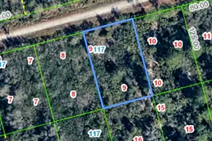 3108 Hollow Oak Ave, Lake Placid, FL 33852 - Photo 4