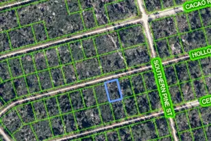 3108 Hollow Oak Ave, Lake Placid, FL 33852 - Photo 6