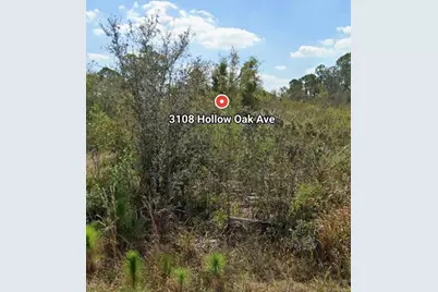 3108 Hollow Oak Avenue, Lake Placid, FL 33852 - Photo 1