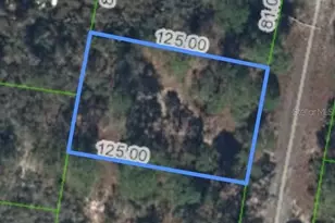 320 Blue Heaven Dr, Lake Placid, FL 33852 - Photo 1