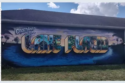 320 Blue Heaven Drive, Lake Placid, FL 33852 - Photo 4