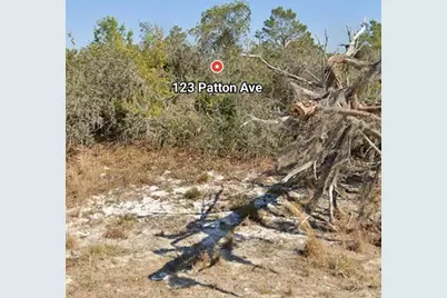 123 Patton Avenue, Lake Placid, FL 33852 - Photo 6