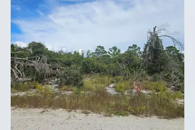 123 Patton Avenue, Lake Placid, FL 33852 - Photo 2