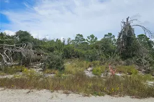 123 Patton Ave, Lake Placid, FL 33852 - Photo 2