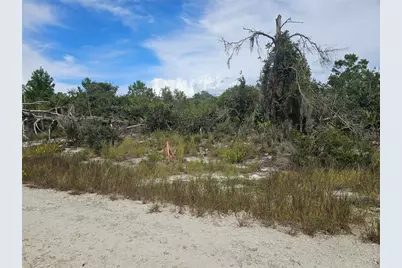 123 Patton Avenue, Lake Placid, FL 33852 - Photo 4