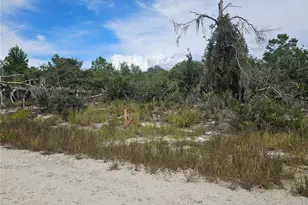 123 Patton Ave, Lake Placid, FL 33852 - Photo 4