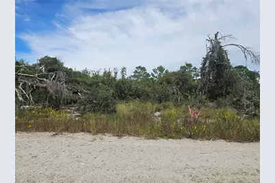 123 Patton Avenue, Lake Placid, FL 33852 - Photo 1