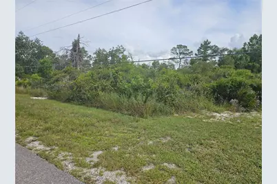 1009 Lotus Street, Lake Placid, FL 33852 - Photo 2