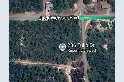 286 Tulip Drive, Lake Placid, FL 33852 - Photo 2