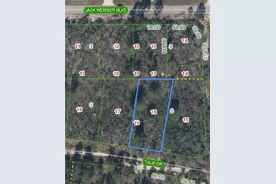 286 Tulip Drive, Lake Placid, FL 33852 - Photo 1