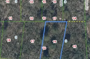 286 Tulip Dr, Lake Placid, FL 33852 - Photo 1