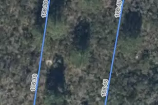 286 Tulip Dr, Lake Placid, FL 33852 - Photo 6