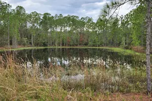 Lot 2 South Shore Dr, Lake Wales, FL 33898 - Photo 1