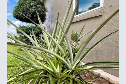 441 Archaic Drive, Winter Haven, FL 33880 - Photo 70