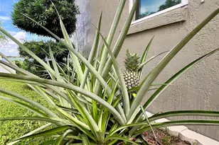 441 Archaic Dr, Winter Haven, FL 33880 - Photo 70