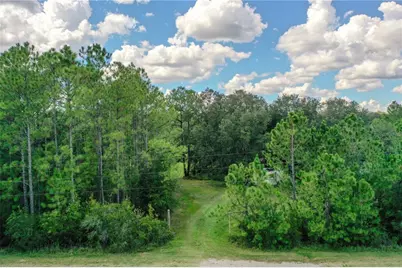 747 Miranda Trail, Lakeland, FL 33809 - Photo 20