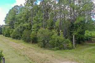 747 Miranda Trail, Lakeland, FL 33809 - Photo 16