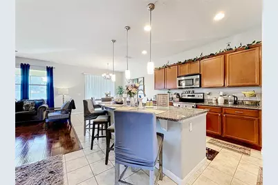 21224 Noric Cove, Mount Dora, FL 32757 - Photo 18