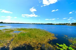 611 Old Eustis Rd, Mount Dora, FL 32757 - Photo 30