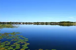 611 Old Eustis Rd, Mount Dora, FL 32757 - Photo 6