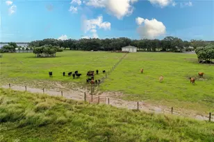 8006 Lake Lowery Rd, Haines City, FL 33844 - Photo 62