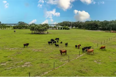 8010 Lake Lowery Road, Haines City, FL 33844 - Photo 20