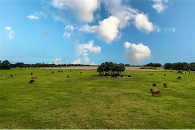 8010 Lake Lowery Road, Haines City, FL 33844 - Photo 12