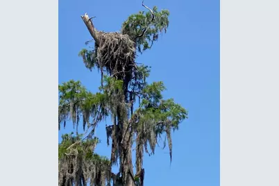 404 Grove Street, Melrose, FL 32666 - Photo 48