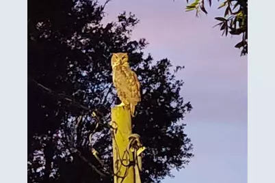 3018 Mark Lane, Lake Wales, FL 33898 - Photo 56