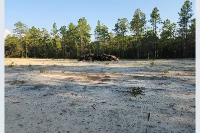 135th Avenue, Ocala, FL 34481 - Photo 2