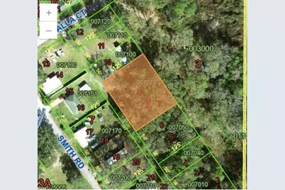 0 Smith Road, Polk City, FL 33868 - Photo 1