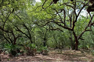 2415 Live Oak Trail, Lake Wales, FL 33898 - Photo 20